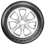 image-ddc9b99fd0ea4f1bb474ab55d0675dda